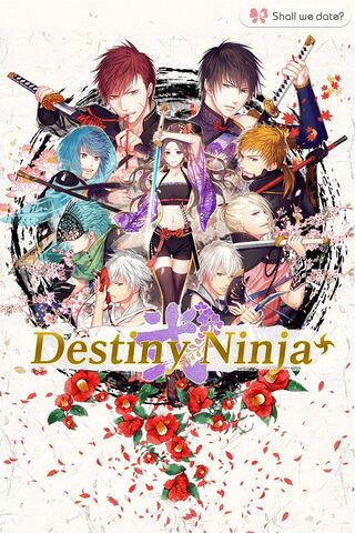 File:Destiny Ninja 2+.jpg