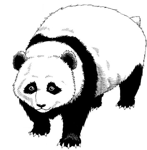File:Shion Shion.jpg