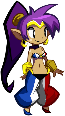 File:ShantaeFrench.png