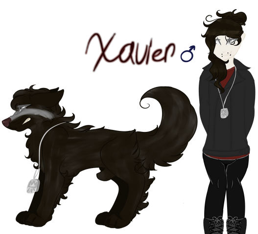 File:XavrefWIP.png