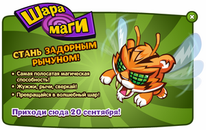 Снимок-2570