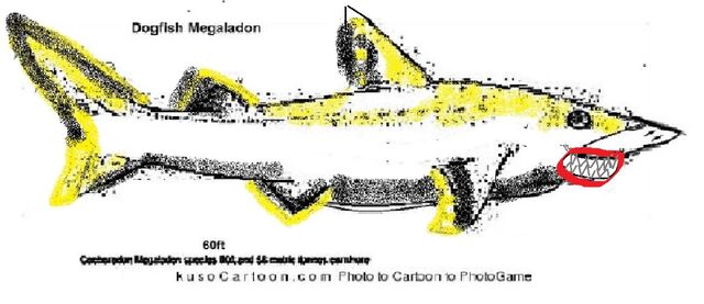 File:Dogfish.jpg