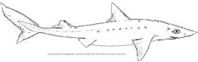 File:Cach2.jpg