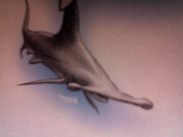 File:Photo 720.jpg