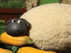 Shirley - Shaun the Sheep Wiki - Wikia
