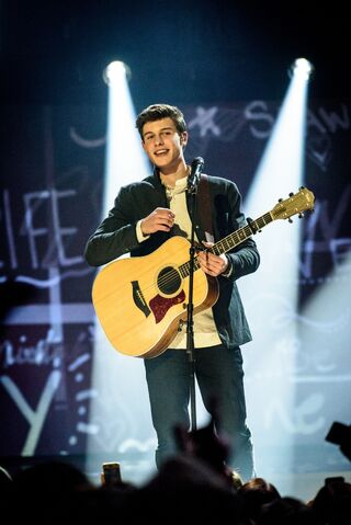 File:2015-Juno-Awards-Show8.jpg