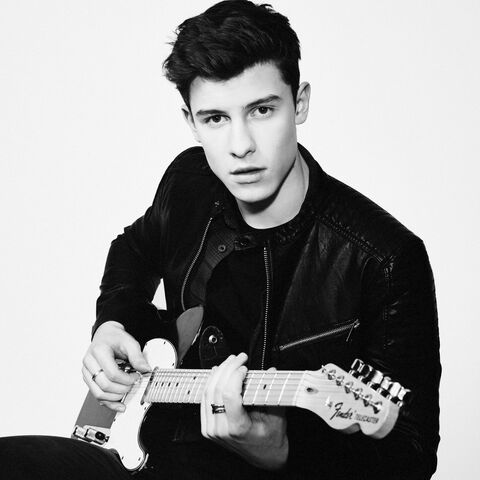File:NOTION SHAWN MENDES 091-copy-1125x1500.jpg