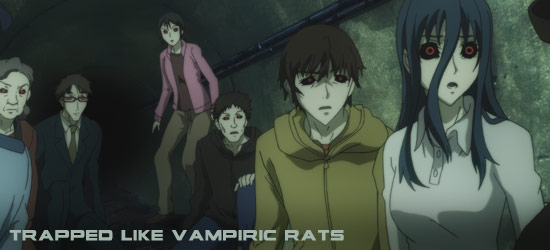 File:Shiki205.jpg