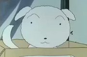 旧小白.png