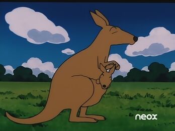 AUSTRALIA 5.jpg