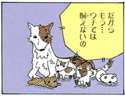 Borscht cachorros.png