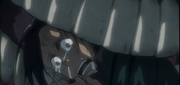 Ultimos ilse.png
