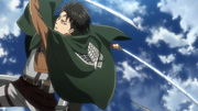 Levi.png