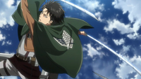 Levi.png