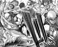 Reiner vs Titans.jpg