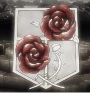 Herb os