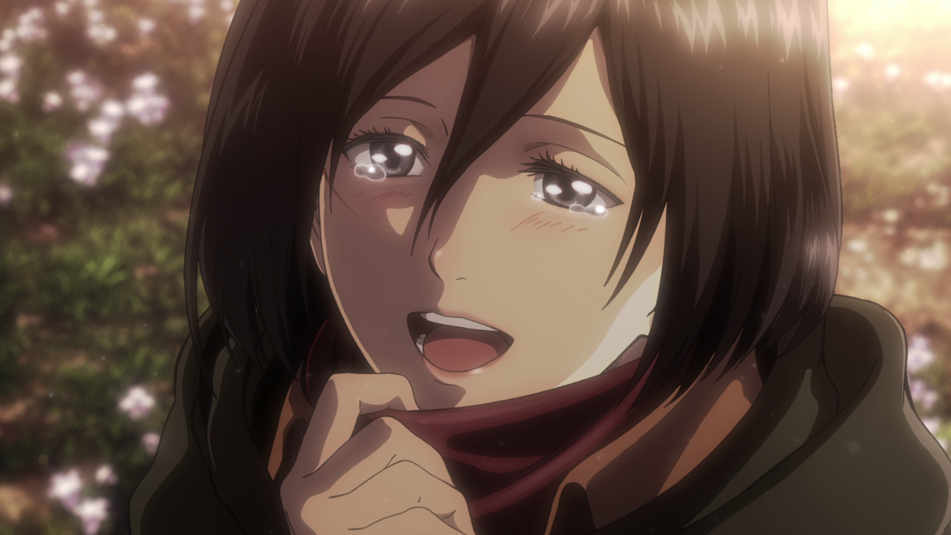 Image Mikasa thanks Eren for the scarf.png Attack on Titan Wiki