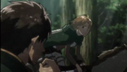 Petra foret.png