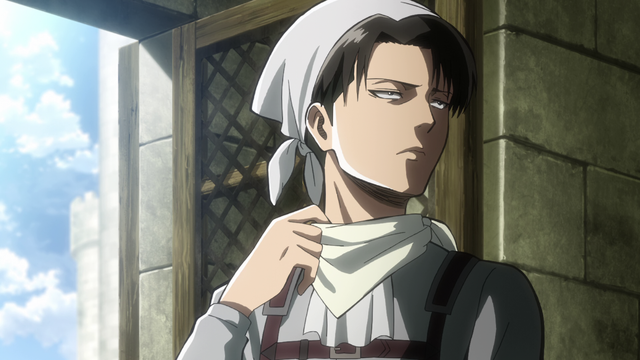 File:Levi the cleaner.png