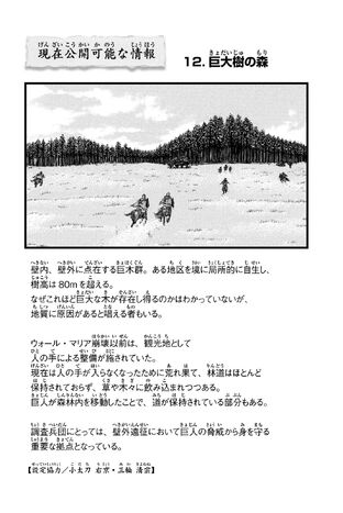File:CPAI12.jpg