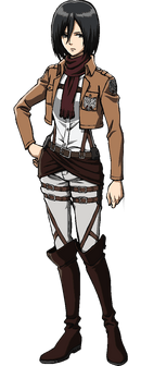 Mikasa's appearance.png