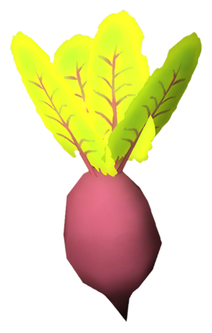 File:Item beet.png