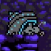Graycrab