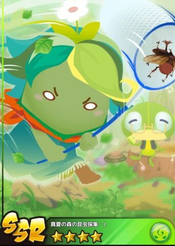File:Insect Collecting L.jpg