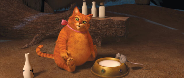 File:Overweight Puss.jpg