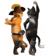 Puss and Kitty