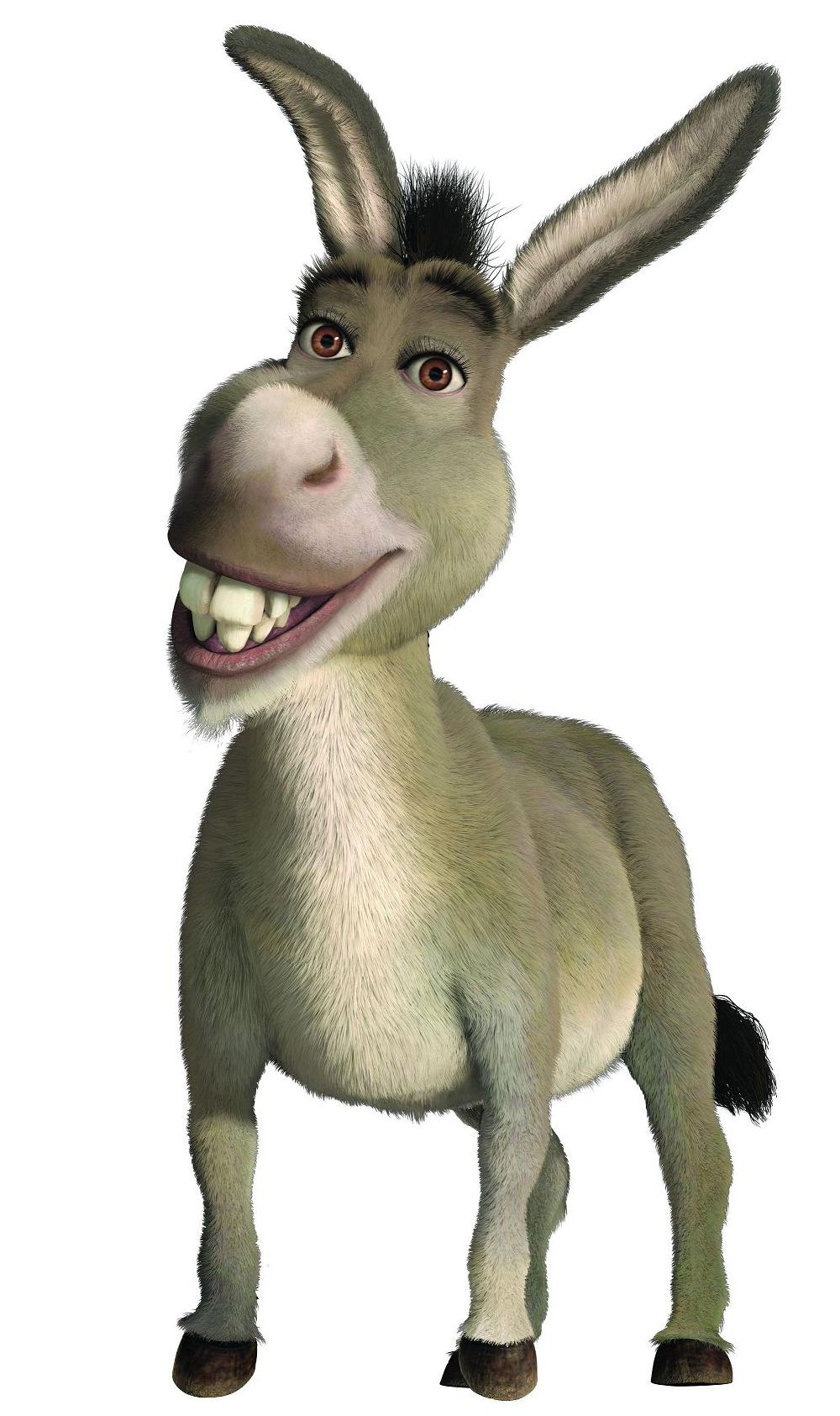 Donkey (species) | WikiShrek | FANDOM powered by Wikia