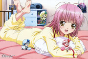 Amu-bed.jpg
