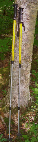 קובץ:163px-Trekking poles.jpg