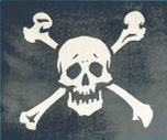 2004 Flag Pirate