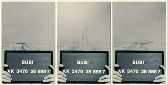 Datei:Bubis Gefängnisnummer.png