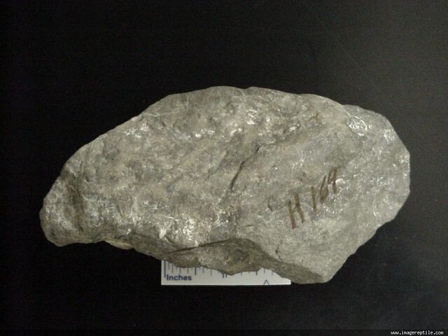 Файл:Uranium ore.jpg