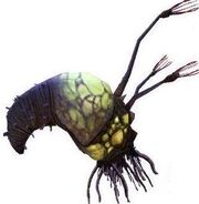 Flood infection