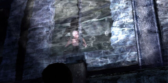 File:SM Raw Shock Window.jpg