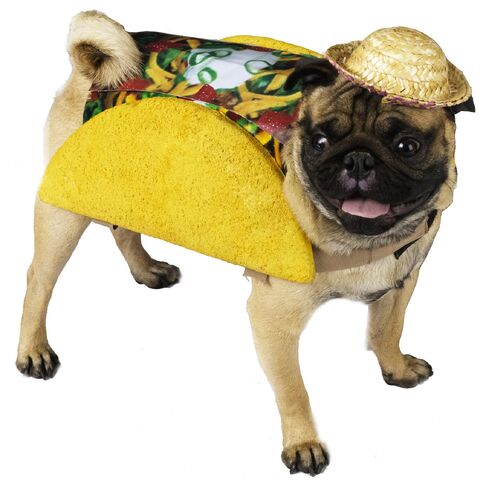 File:Taco Dog.jpg