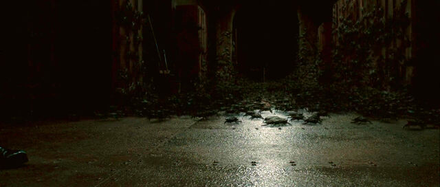File:Creepers approach.jpg