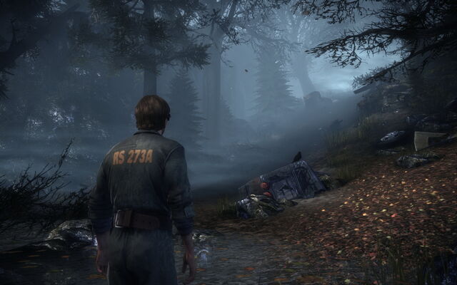 File:SilentHillForest.jpg