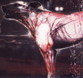 Thumbnail for version as of 19:34, April 4, 2010