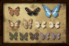 Butterflypuzzle