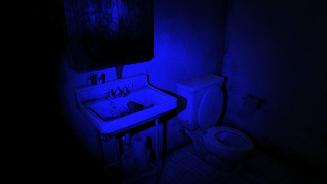 File:Bathroom b.png