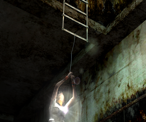 File:HeatherPullsLadder.png