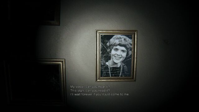 File:P T Cryptic Photo.jpg