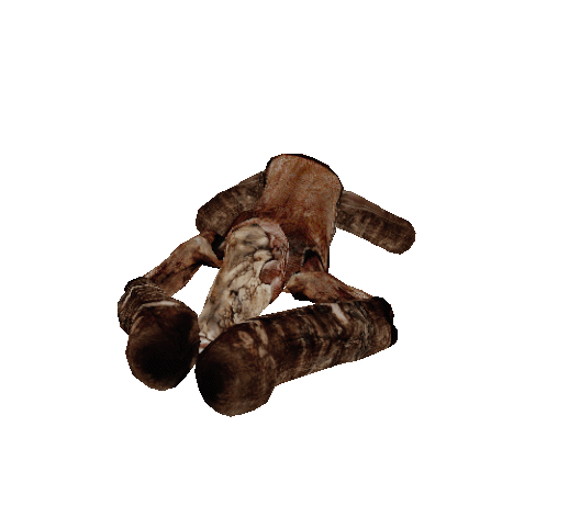 File:Slu1.gif
