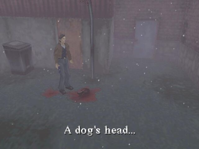 File:Doghead.jpg