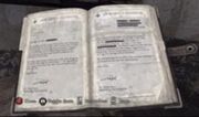 230px-Psy Evaluation (2)