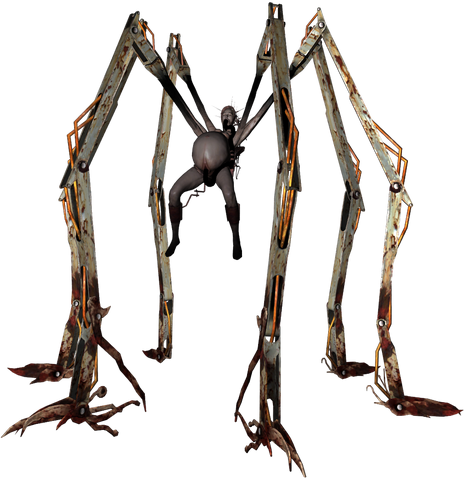 Archivo:Amnion.png